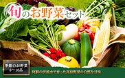 <畑から直送>季節のお野菜セット Lサイズ（8～10品程度）