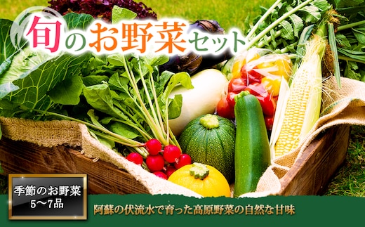 <畑から直送>季節のお野菜セットMサイズ（5～7品程度）
