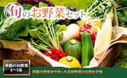 <畑から直送>季節のお野菜セットMサイズ（5～7品程度）