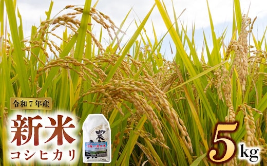 【予約】新米 令和7年産 コシヒカリ 5kg（白米）ファーム中村 お米 人気 美味しい 弾力 粘り 食感 熊本県 阿蘇市