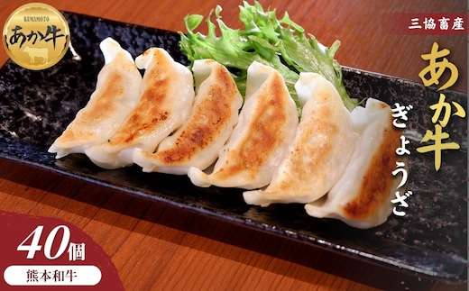 【三協畜産】熊本和牛あか牛ぎょうざ 40個（20個×2箱）
