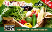 【定期便 全6回】<畑から直送>季節のお野菜セット Mサイズ  野菜 5～7品