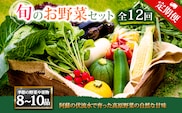 【定期便 全12回】<畑から直送>季節のお野菜セット Lサイズ  野菜 8～10品