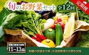 【定期便 全12回】<畑から直送>季節のお野菜セット XLサイズ  野菜 11～13品