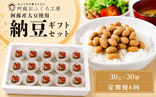 【定期便全6回】【銀賞受賞】阿蘇産大豆ふくゆたか使用 納豆 30g×30個 大粒 国産 手作り 阿蘇おふくろ工房 冷凍 阿蘇市