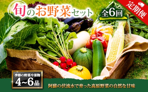 【定期便 全6回】<畑から直送>季節のお野菜セット Mサイズ 野菜 4～6品
