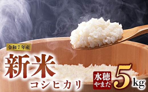 【予約】新米 令和7年産 コシヒカリ 5kg 水穂やまだ