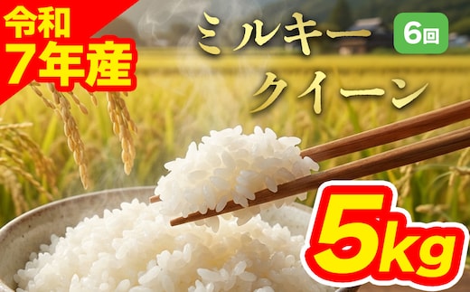 【定期便全6回】特別栽培米 ミルキークイーン5kg 白米 阿蘇アグロスタイル 阿蘇市