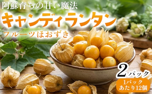 阿蘇育ちの甘い魔法「キャンディランタン」フルーツほうずき 食用ほうずき 12個入×2パック おすそわけ農園 野菜 果物 阿蘇市