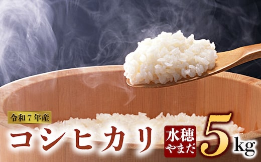 令和7年産 コシヒカリ 5kg 水穂やまだ