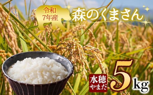 令和7年産 森のくまさん 5kg 水穂やまだ