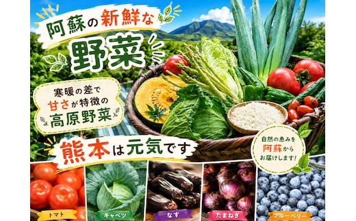 【阿蘇 郷乃舎】阿蘇高原 農家直送こだわり野菜 お野菜 6~8品 野菜ソムリエ上級プロ厳選 郷乃舎 お野菜 阿蘇市