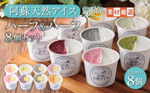 阿蘇天然アイス ハーフ&ハーフ 8個セット