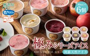 阿蘇天然アイス　～極みシリーズ～　6個セット