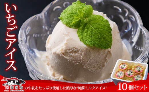 熊本 阿蘇 阿部牧場イチゴアイス 10個
