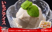 熊本 阿蘇 阿部牧場イチゴアイス 10個