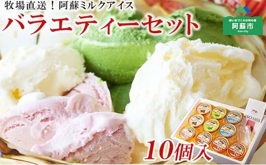 牧場直送！阿蘇アイスバラエティ10個ふるさとセット