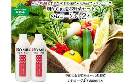 阿蘇のお野菜と阿部牧場のむヨーグルト800ml×2本セット