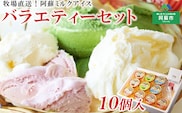 牧場直送！阿蘇アイスバラエティ10個ふるさとセット