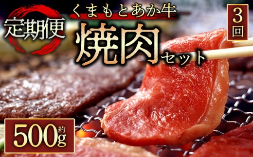 【阿蘇牧場】定期便3回【GI認証】くまもとあか牛焼肉用500g