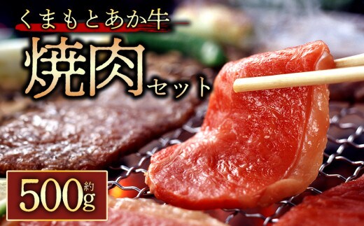 【阿蘇牧場】【GI認証】くまもとあか牛 焼肉用約500g