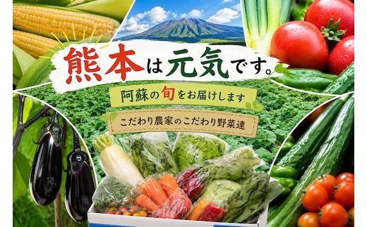 【阿蘇 郷乃舎】阿蘇高原 農家直送こだわり野菜と阿蘇特産品セット お野菜8~10品 ＋ASOMILK 200ml のむヨーグルト200ml 