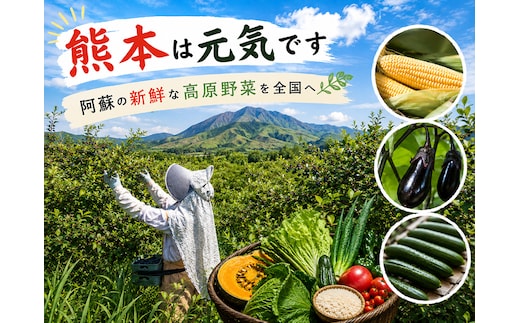 【定期便全3回】【阿蘇 郷乃舎】阿蘇高原 農家直送こだわり野菜 お野菜 6~8品 定期便全3回 野菜ソムリエ上級プロ厳選 お野菜 阿蘇市