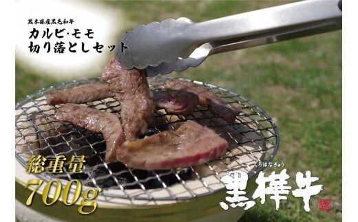 くまもと黒毛和牛 黒樺牛 A4～A5等級 焼肉用カルビ・モモ・切り落としセット・総重量700ｇ 焼肉のたれ1本付き