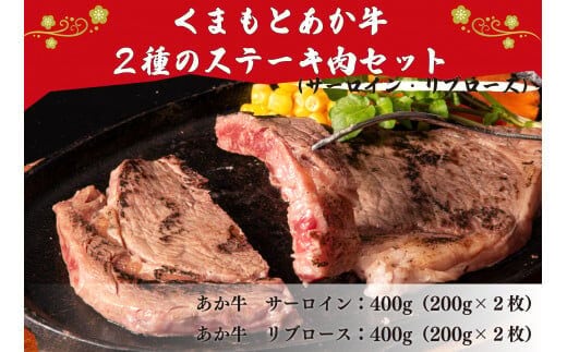 くまもとあか牛 2種のステーキ肉セット 800g
