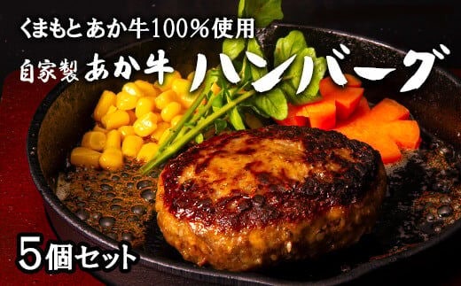 くまもとあか牛 自家製 ハンバーグ 5個セット