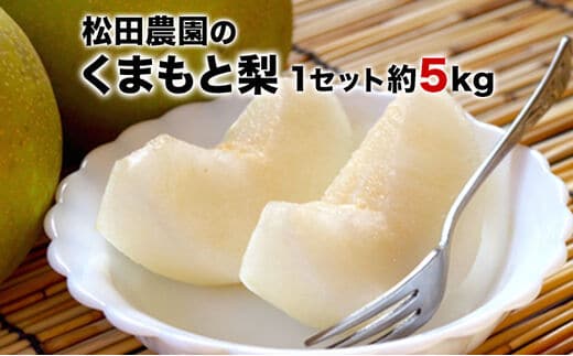 【先行予約】【日付指定不可】『松田農園』のくまもと梨 たっぷり約5kg 8-18玉前後 《7月下旬-9月末頃出荷》 予約受付中 熊本県玉名郡玉東町『松田農園』なし 果物 スイーツ フルーツ デザート スムージー ---sg_cmtdnasi_cf79_26_16000_5kg---