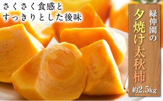 『緑伸園』の大玉 夕焼け太秋柿 約2.5kg 4-7玉前後 予約受付中 フルーツ 秋 旬 柿 ★大きく綺麗な秋の夕日のような色と形★《11月上旬-12月上旬頃出荷》---sg_cryokukaki_h11_r8_13500_5kg---
