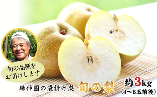 『緑伸園』旬の梨 たっぷり約3kg 4-8玉前後入 旬の品種をお届けします！ 《8月中旬-9月下旬頃出荷》 期間限定 予約受付中 熊本県玉名郡玉東町産 なし 果物 スイーツ フルーツ デザート スムージー 豊水 梨 秋麗梨 あきづき 甘太 新高梨---sg_cryokunashi_k8_r8_12000_3kg---