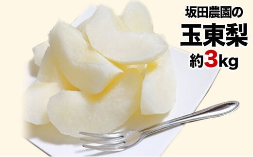 『坂田農園』の玉東梨 期間限定 予約受付中 約3kg 3-10玉前後 熊本県玉名郡玉東町産 なし 果物 スイーツ フルーツ デザート スムージー 熊本県玉東町《8月中旬-9月末頃出荷》---gkt_skt_1_3kg---