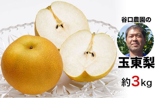 『谷口農園』の玉東梨 期間限定 予約受付中 たっぷり約3kg前後(約4-10玉前後) 【日付指定・品種指定不可】 熊本県玉名郡玉東町『谷口農園』なし 果物 スイーツ フルーツ デザート スムージー《8月中旬-10月上旬頃出荷》---sg_ctaninashi_g810_r8_12000_3kg---