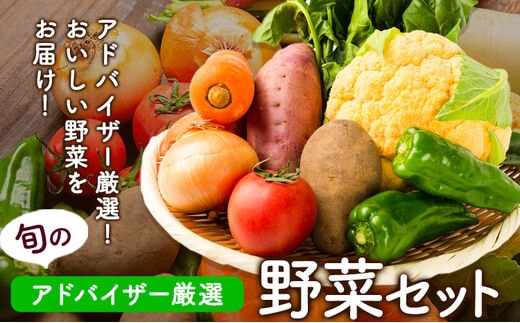 季節の野菜詰め合わせセット 8～10品目 《30日以内に順次出荷(土日祝