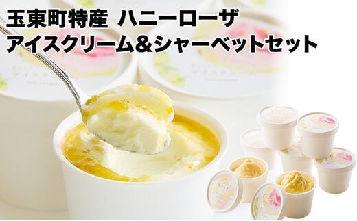 抜群の糖度と爽やかな酸味♪ハニーローザアイスクリーム＆ハニーローザシャーベット 120ml×各4個 熊本県玉名郡玉東町 すもも ハニーローザ アイス ぷらっとぎょくとう《60日以内に出荷予定(土日祝除く)》---sg_fhroicesha_60d_26_14500_8p---