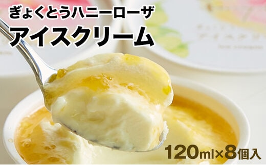 糖度17度の甘さ♪ハニーローザアイスクリーム 120ml×8個 熊本県玉名郡玉東町 すもも ハニーローザ アイス ぷらっとぎょくとう《60日以内に出荷予定(土日祝除く)》---sg_fhoneyrosa_60d_26_14500_8p---