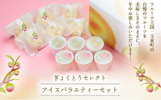 ぎょくとうセレクトアイスバラエティーセット 熊本県玉名郡玉東町 すもも ハニーローザ いちご アイス もなか ぷらっとぎょくとう《60日以内に出荷予定(土日祝除く)》---sg_fgkticevari_60d_26_19000---