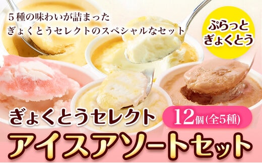 ぎょくとうセレクト アイスアソートセット 12個(全5種)《60日以内に出荷予定(土日祝除く)》 熊本県玉名郡玉東町 すもも ハニーローザ いちご イチゴ いちご しらぬい 不知火 チョコ チョコレート ヨーグルト アイス シャーベット ぷらっとぎょくとう---sg_fgkticemonaka_60d_18500_12p---