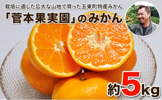『菅本果実園』のみかん★約5kg(2S-Lサイズ)《11月中旬-1月中旬頃出荷》 【日付指定不可】 フルーツ 秋 旬★熊本県玉名郡玉東町 全国にファン多数！エコファーマー菅本さんのみかん♪『菅本果実園』---gkt_sgm_8_5kg---