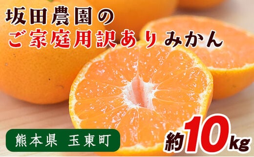 ご家庭用訳あり 熊本県玉東町産限定『坂田農園』のご家庭用みかん 大容量 約10kg(S-3Lサイズ) 予約受付中 フルーツ 秋 旬 玉東町70年のベテラン！濃厚な食味とジューシーな果汁 熊本県玉東町《10月上旬-1月末頃より順次出荷》---sg_sktwmk_af101_25_11000_10kg---