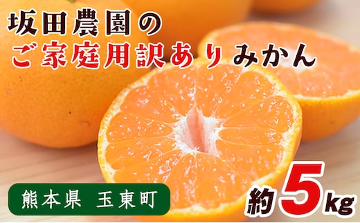 みかん 旬【日付指定不可】 ご家庭用 訳あり 『坂田農園』 ご家庭 用 みかん 約 5kg (2S-2Lサイズ) 熊本 予約 受付中 フルーツ 秋 旬 玉東 町 濃厚 食味 ジューシー 果汁 熊本県玉東町《10月上旬-1月末頃出荷》---gkt_skt_5_5kg---