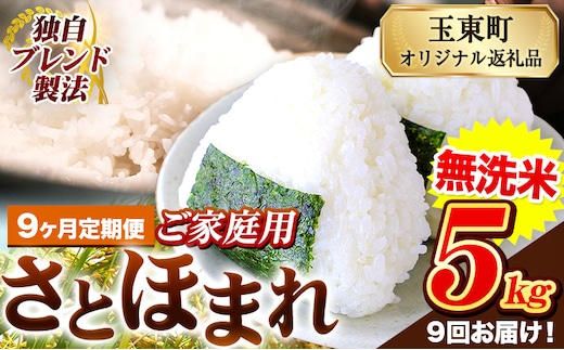 【9ヶ月定期便】熊本県産 さとほまれ 無洗米 ご家庭用 定期便 5kg 《お申込み翌月から出荷》熊本県 玉名郡 玉東町 米 こめ コメ ブレンド米 送料無料---gkt_sthmltei_5kg_103500_mo9---