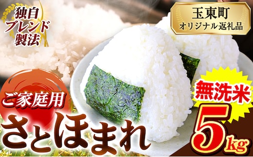 熊本県産 さとほまれ 無洗米 ご家庭用 5kg 《7-14日以内に出荷予定(土日祝除く)》熊本県 玉名郡 玉東町 米 こめ コメ ブレンド米 送料無料---gkt_sthml_wx_10500_5kg---