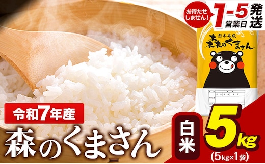 令和7年産 森のくまさん 5kg × 1袋 白米 熊本県産 単一原料米 森くま《1-5日以内に出荷予定(土日祝除く)》送料無料---gkt_lcl_595_5kg---