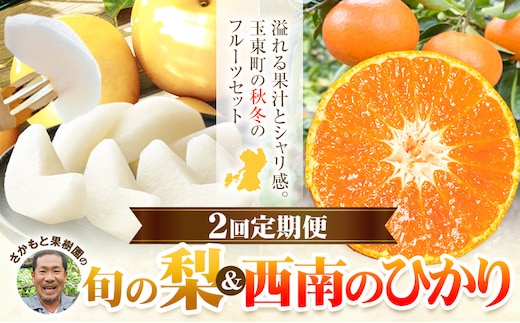 フルーツ 定期便 旬の梨 3kg 西南のひかり 5kg 2回定期便 さかもと果樹園《梨：8月中旬-10月上旬頃出荷 みかん：12月中旬-12月末頃出荷》熊本県 玉東町 梨 みかん 柑橘 果物 旬 秋 冬 先行予約 産地直送 デザート 秋冬 詰め合わせ---gkt_skm_7_8kg_2kh---