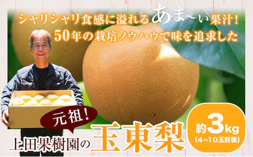 上田果樹園の元祖！玉東梨(旬の品種をお届けします)約3kg(4玉-10玉) 《7月下旬-9月下旬頃出荷》 熊本県玉名郡玉東町 なし 果物 スイーツ デザート---gkt_uek_1_3kg---