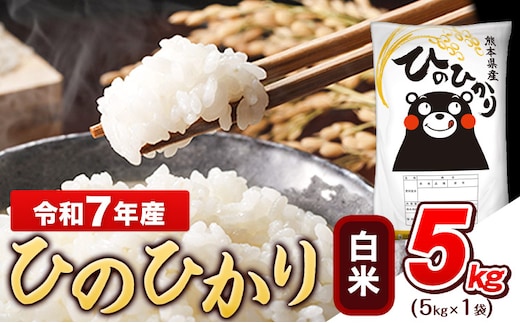 令和7年産 ひのひかり 白米 5kg (5kg×1袋)《7-14日以内に出荷予定(土日祝除く)》熊本県産 ひの 白米 精米 米 こめ ヒノヒカリ コメ お米 おこめ---gkt_lcl_707_5kg---