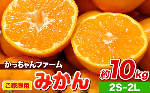 ご家庭用『かっちゃんファーム』のご家庭用みかん★ 約10kg【2S-2Lサイズ(大小サイズ混合)】 自然本来のおいしさ！《1月上旬-1月末頃出荷》---sg_kmkn2s2l_ac1_25_10000_10kg---